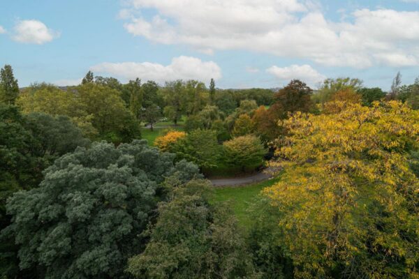 Apple Tree Road, London